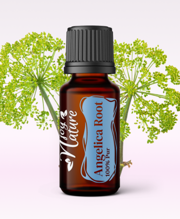Uleiuri Single - Ulei Esential Angelica Root 15ml