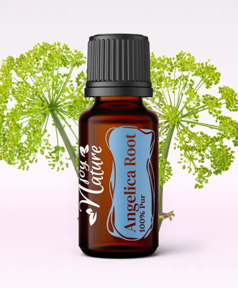 Ulei Esential Angelica Root 15ml