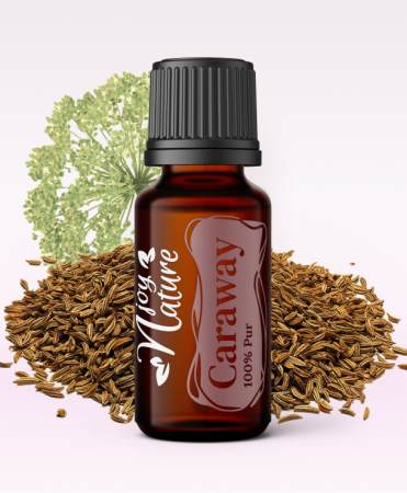 Single oils - Ulei Esential Caraway Seed 15ml