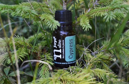 Cypress Essential Oil 15ml [3]