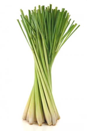 Ulei Esential Lemon Grass 15ml [1]