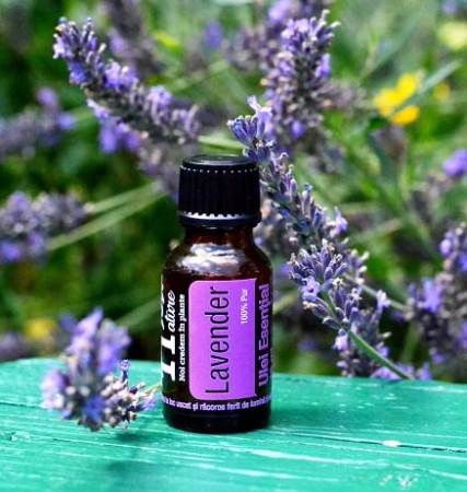 Lavender Essential Oil 15ml [3]