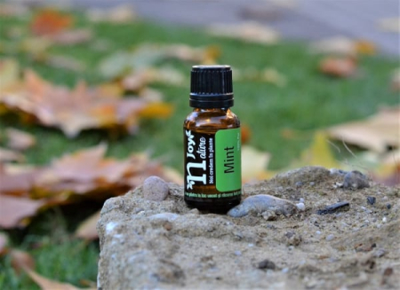 Ulei Esential Mint 15ml [3]