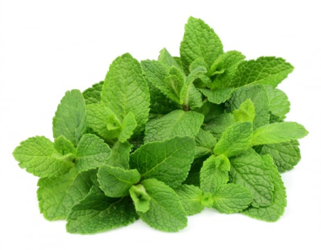 Ulei Esential Mint 15ml [1]