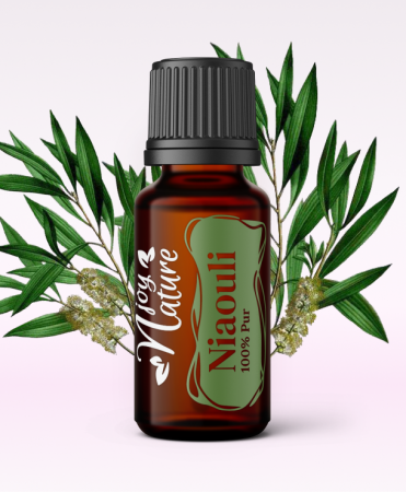 Single oils - Niaouli Essential Oil 15ml