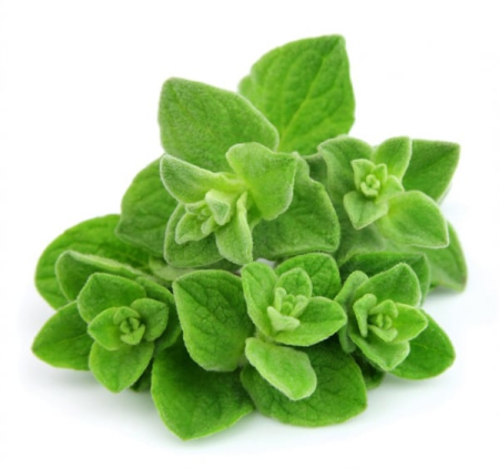 Ulei Esential Oregano 15ml [1]