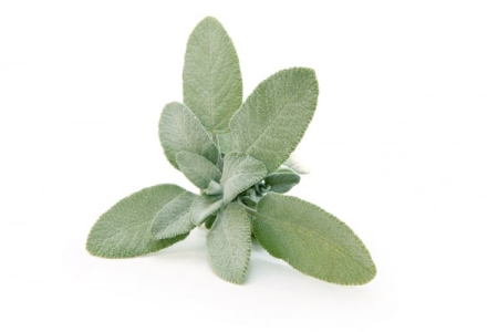 Ulei Esential Clary Sage 15ml [1]