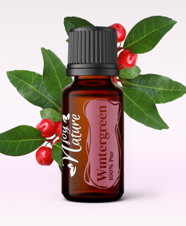 Single oils - Winter Green Essential Oil 15ml
