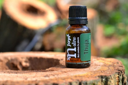 Ulei Esential Thuja Wood 15ml [3]
