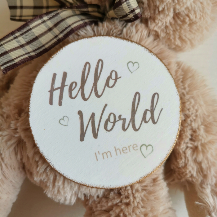 Decoratiune rotunda din lemn Hello World [4]