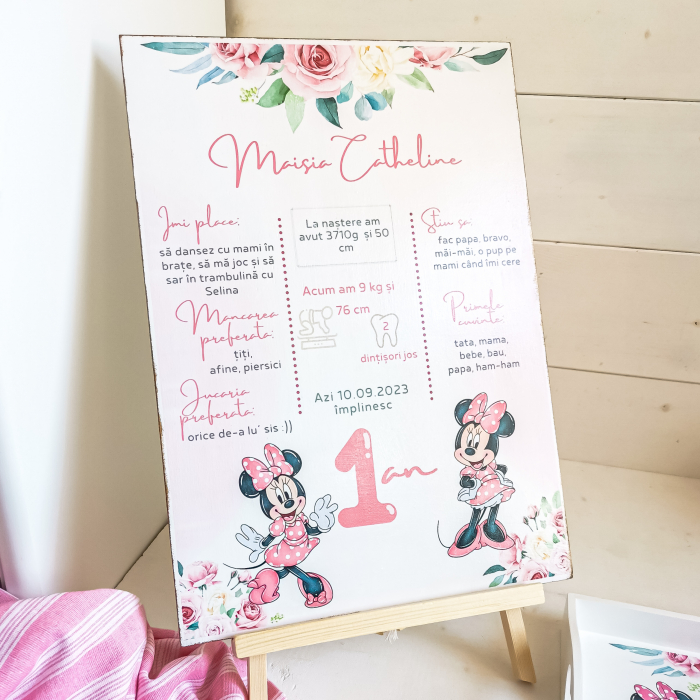 Soricica Celebra Minnie| Tablou personalizat din lemn | Milestone Board [3]