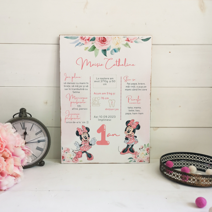Soricica Celebra Minnie| Tablou personalizat din lemn | Milestone Board [4]