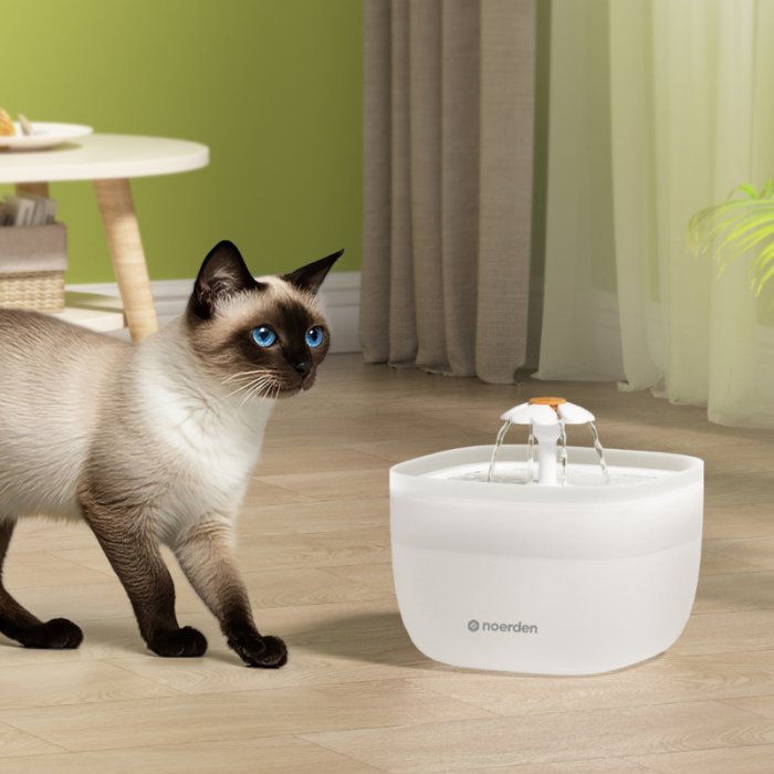 Fantana de apa pentru animale de companie Noerden PawQuench [6]