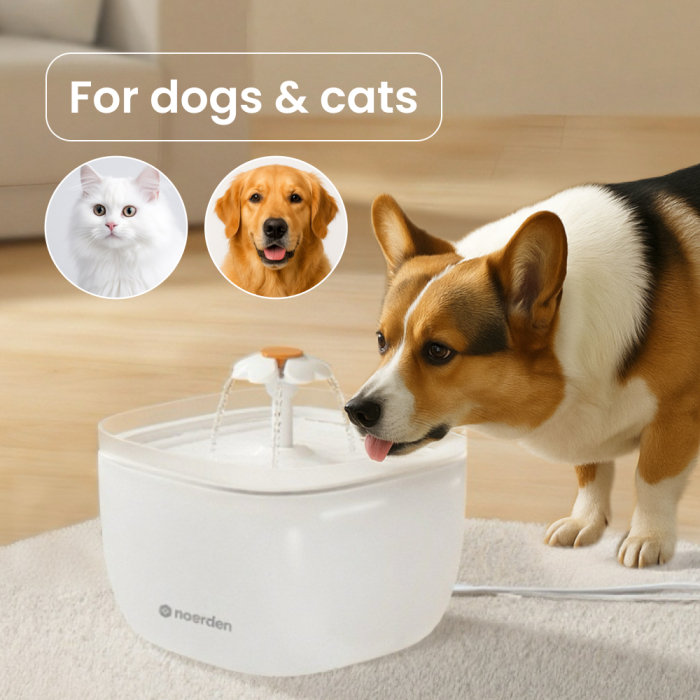 Pachet Smart Pet Care Noerden PetPlate + PawQuench [7]