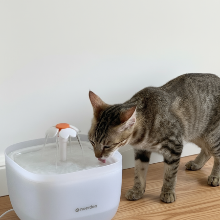 Fantana de apa pentru animale de companie Noerden PawQuench [3]