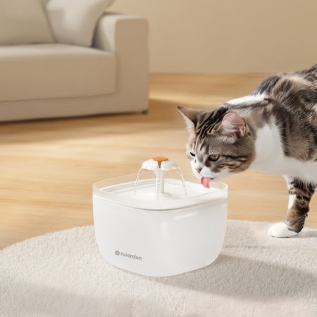 Fantana de apa pentru animale de companie Noerden PawQuench [6]