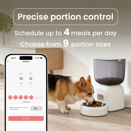 Pachet Smart Pet Care Noerden PetPlate + PawQuench [2]