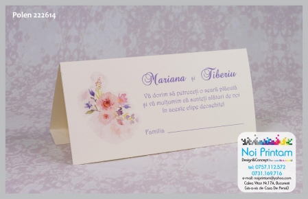 Plicuri de bani - Plic de bani