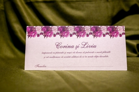 Plicuri de bani - Plic de bani