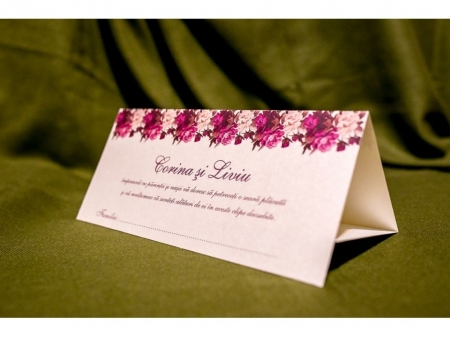 Plicuri de bani - Plic de bani