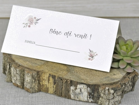 Plicuri de bani - Plic de bani