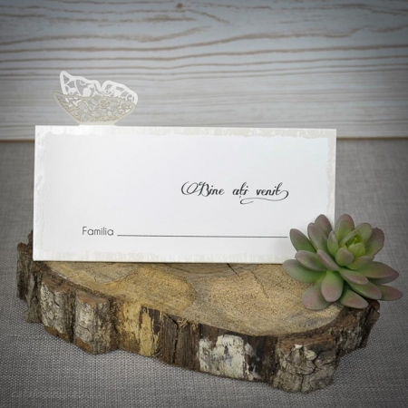 Plicuri de bani - Plic de bani