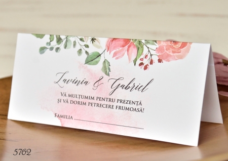 Plicuri de bani - Plic de bani