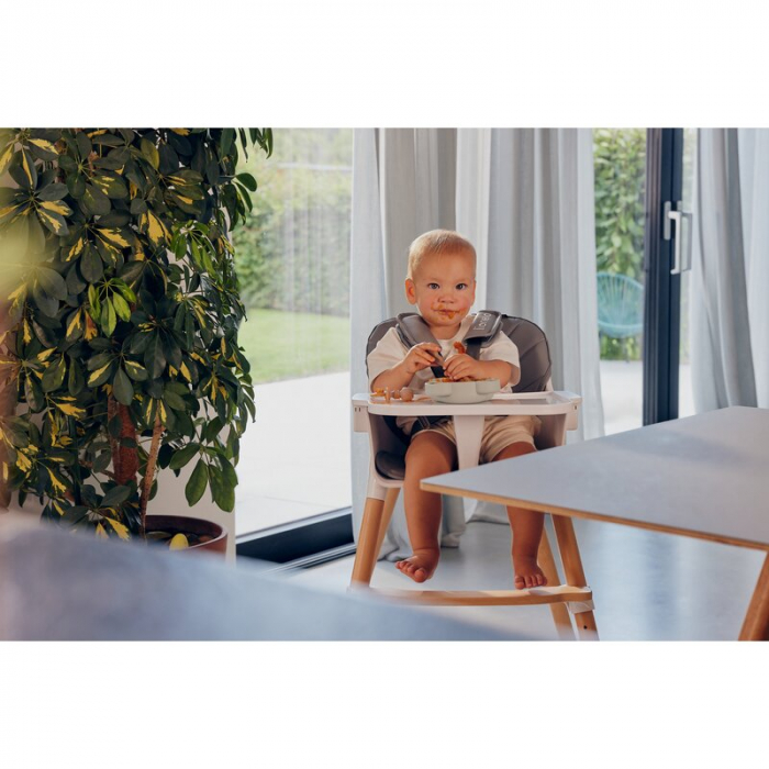 Aparat de gatit, Lionelo, BabyMenu, 5 in 1, Cu functii de gatire la abur, dezghetare, amestecare, incalzire si sterilizare, Cu recipient din tritan, Include meniu cu retete, Personalizare setari, Alb [28]