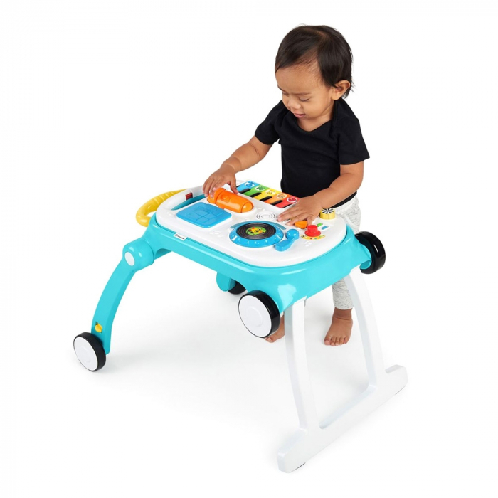 Baby Einstein - Centru de activitati 4 in 1 Mix & Roll [9]