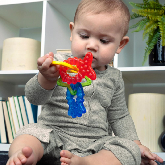 Baby Einstein - Jucarie de dentitie “Ocean Explorers Cool Critters“, 3 luni + [7]