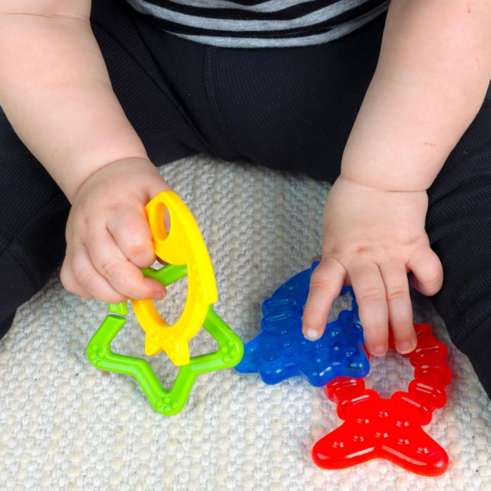 Baby Einstein - Jucarie de dentitie “Ocean Explorers Cool Critters“, 3 luni + [4]