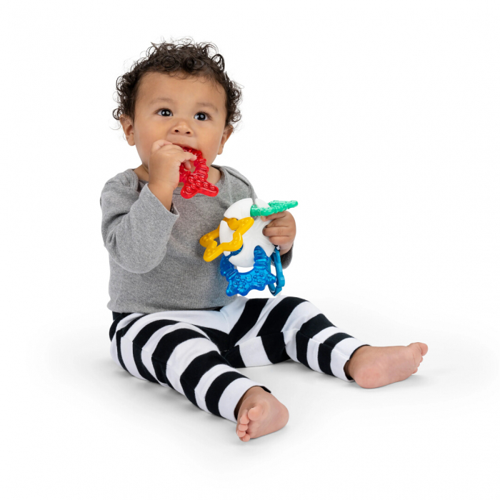 Baby Einstein - Jucarie de Dentitie Ocean Explorers Sea of Sensory [9]