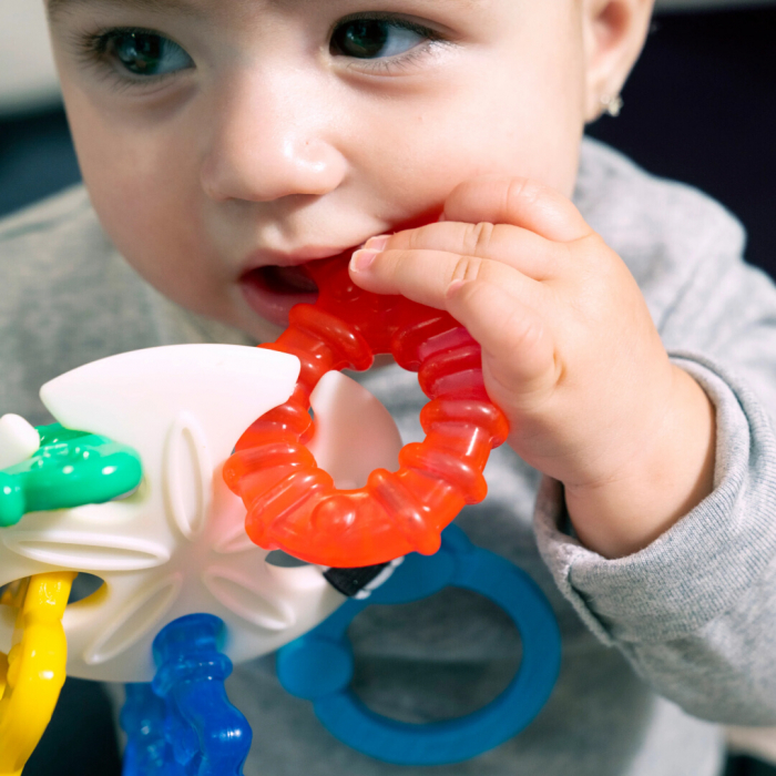 Baby Einstein - Jucarie de Dentitie Ocean Explorers Sea of Sensory [7]