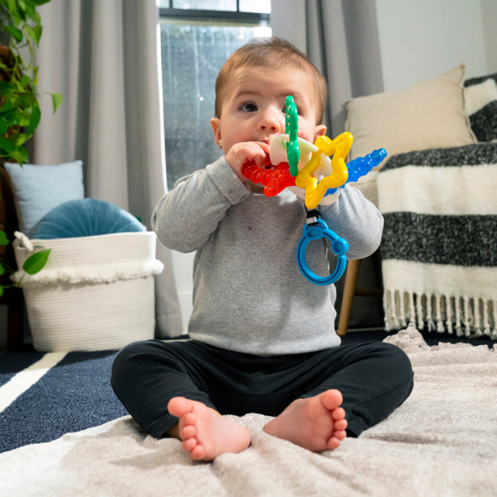 Baby Einstein - Jucarie de Dentitie Ocean Explorers Sea of Sensory [10]