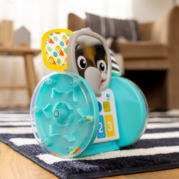 Baby Einstein - Jucarie interactiva, "Chase & Tap Earl" [7]