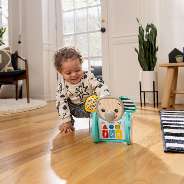 Baby Einstein - Jucarie interactiva, "Chase & Tap Earl" [9]