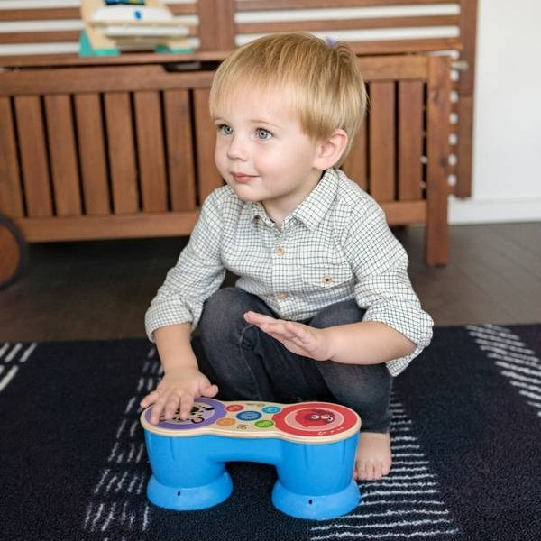 Baby Einstein - Jucarie muzicala Tobe Hape Magic Touch [2]