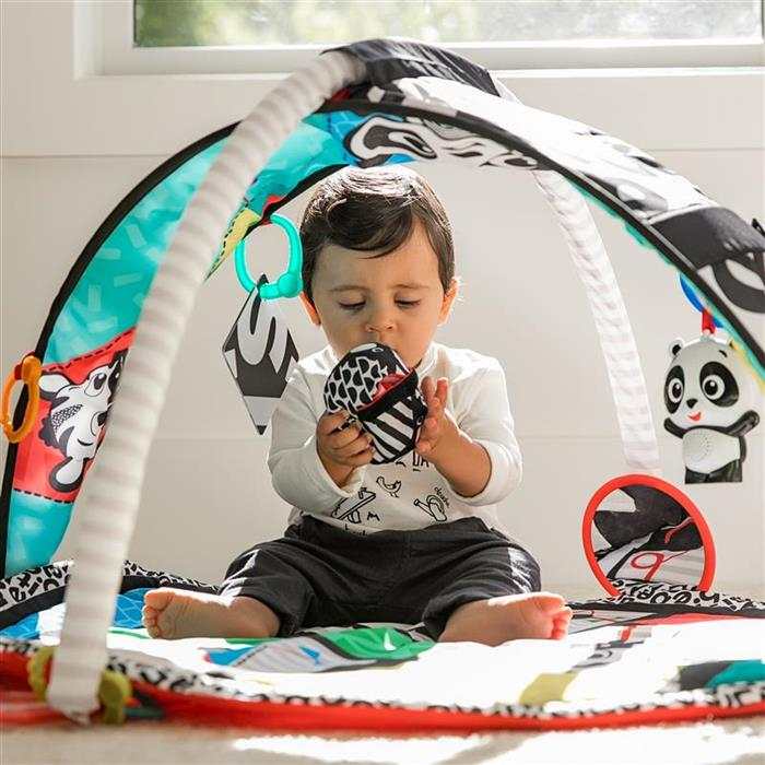 Baby Einstein - Salteluta de activitati Bold New World [6]