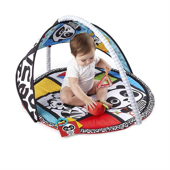 Baby Einstein - Salteluta de activitati Bold New World [3]