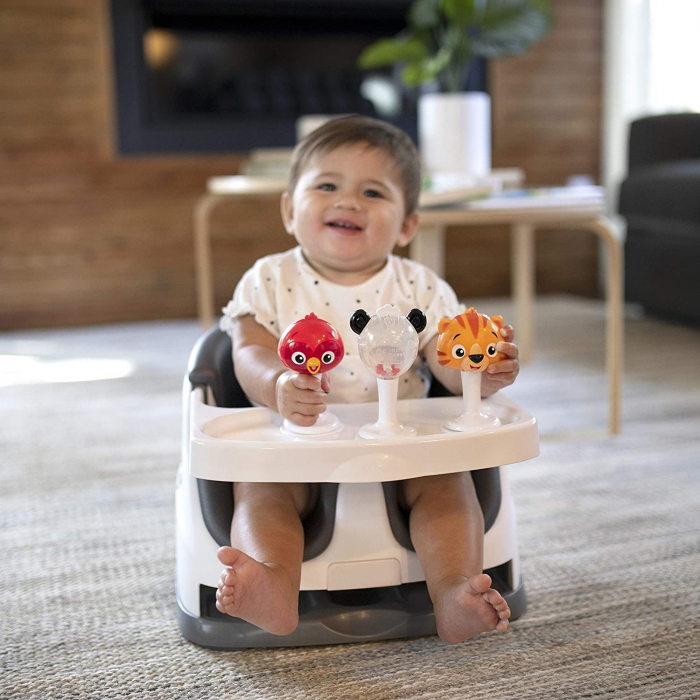Baby Einstein - Set 3 jucarii multisenzoriale in forma de animalute [6]