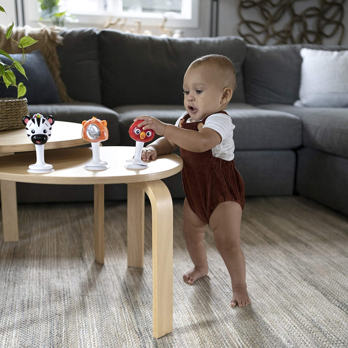 Baby Einstein - Set 3 jucarii multisenzoriale in forma de animalute [5]