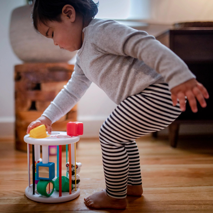 Baby Einstein - Set de jucarii senzoriale Zen & Cal's Playground [4]
