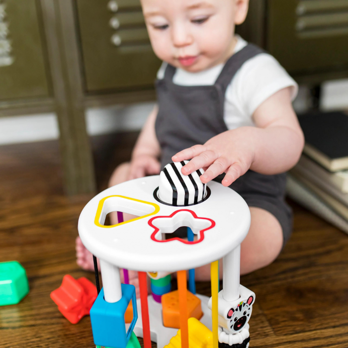 Baby Einstein - Set de jucarii senzoriale Zen & Cal's Playground [15]