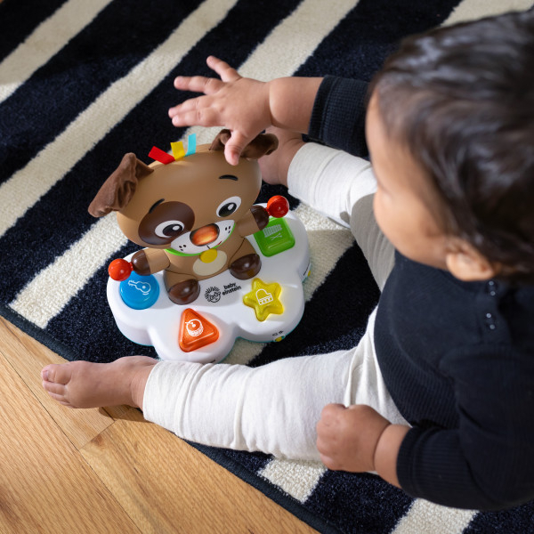 Baby Einstein - Toba muzicala, "Drum & Learn Dean" [6]