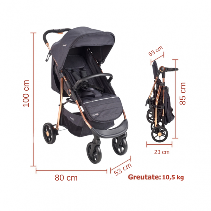 BabyGo - Carucior Style 3 in 1 Black-Rose [11]