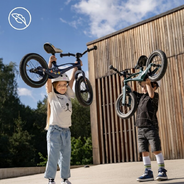 Bicicleta fara pedale, Lionelo, Bart, Usoara, Cu cadru din magneziu, Cu ghidon si sa reglabile, Greutate 3 Kg, 12 inch, Conform cu standardul european de securitate EN71, Auriu [23]