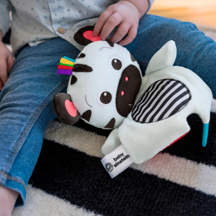 Bright Starts - Jucarie de dentitie din plus pentru bebelusi Zebra Zen [5]