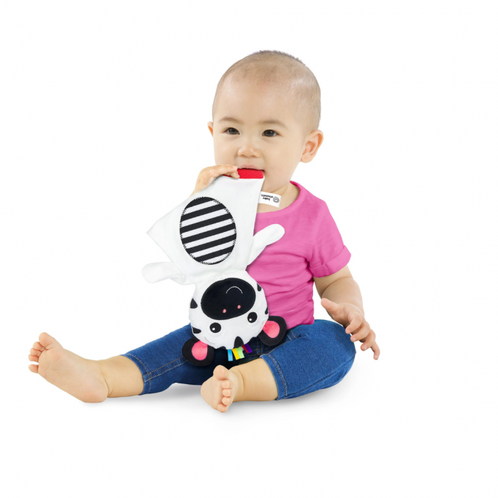 Bright Starts - Jucarie de dentitie din plus pentru bebelusi Zebra Zen [2]