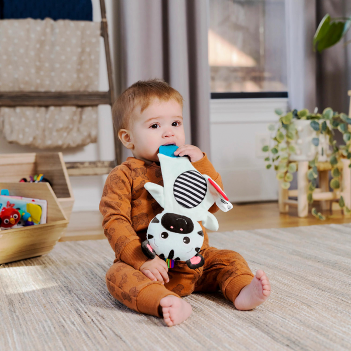 Bright Starts - Jucarie de dentitie din plus pentru bebelusi Zebra Zen [4]