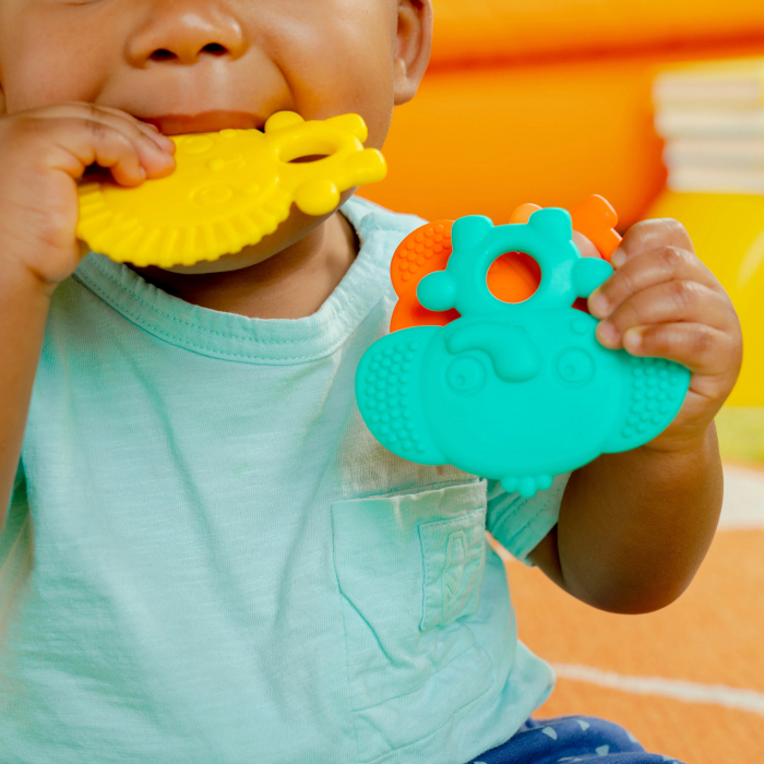 Bright Starts - Set 3 jucarii de dentitie texturate Gummy Buddies -  Elefant, Leu, Maimuta [8]